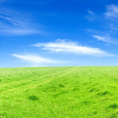 IT企業23卒。就活談や自身の取り組みについてつぶやく予定です。基本フォローバックします。(勧誘、副業等のフォローには対応できません。) 関学→大阪府立大学大学院/ #SIer #コンサルタント #DX #IT #23卒 /SQL,SAP勉強中!/社会学・統計学・公共政策学