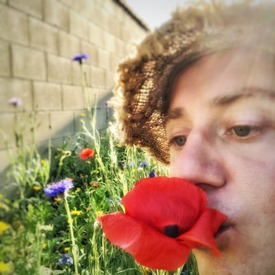 satellite engineer in climate science 🛰 non-binary 🏳️🌈