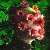 Moonlitpixi (@moonlitpixi) 's Twitter Profile