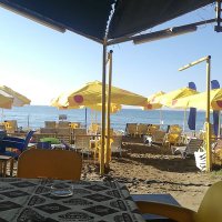 Gökmen K. Özdal (@gokmenkozdal) Twitter profile photo