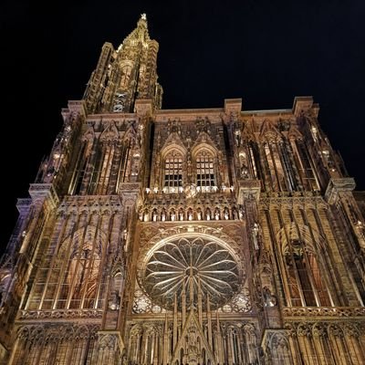 noria6666's profile picture. 