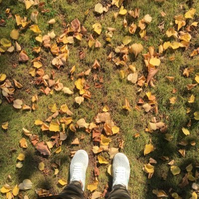 evterpa's profile picture. Ванильно