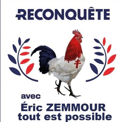 Zemmour 2027 !! vite !🙏🇫🇷❤️ pionnière R! 1114 😎