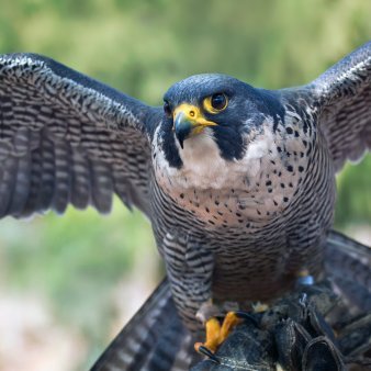 Flik94405085's profile picture. Learning Frontend

React/Typescript/NextJS