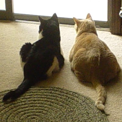 M0ltres146's profile picture. 