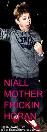 TheHoranFans's profile picture. MAJORLY IN LOVE WITH NIALLER! hes so oerfect its unreal. ask for a follow back and if you want to co-own this account et me know :) xo