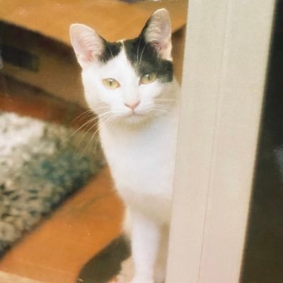 URAIGCbhq4bBvU0's profile picture. 社会的共通資本を守り支え合う持続可能な社会実現へ。政治に絶対的ヒーローを求めない。主権在民。脱原発。核兵器廃絶。［民族浄化,戦争,性暴力,差別,いじめ,歴史修正,公文書破棄は人類の敵］（気軽にブロックするよ）#CeasefireNOW #StopTheGenoside