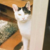 いのみ🍉虐殺への加担に抗議します (@uraigcbhq4bbvu0) 's Twitter Profile Photo いのみ🍉虐殺への加担に抗議します (@uraigcbhq4bbvu0) 's Twitter Profile Photo