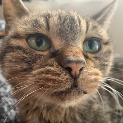 M_a_i_i_'s profile picture. 目の保養 ROM専になりつつある
