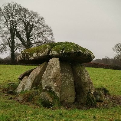 ImmediaSee's profile picture. 