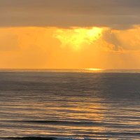 Steven (@clearbluepool1) 's Twitter Profile