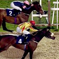 racingknights (@racingknights) 's Twitter Profile