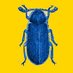 Beetle X (@HamBeetle) Twitter profile photo