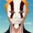 Hollowfied17のプロフィール画像