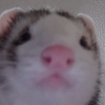 sdks_497's profile picture. 