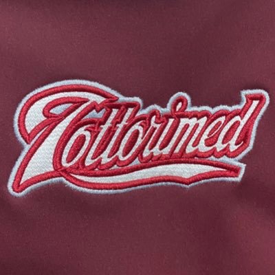 toridaibaseball Profile Picture