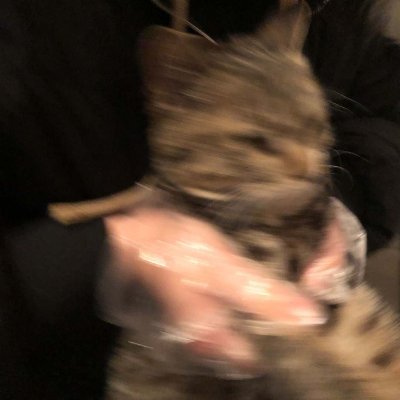 INGRIDASUKA's profile picture. 