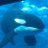 おかちゃんのアイコン