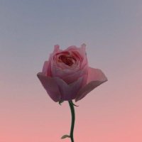 ع (@3yyyshak) 's Twitter Profile
