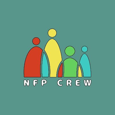 NFP Crew is an organization of Georgian NFT creators
