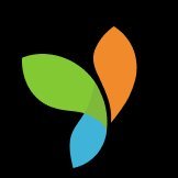 Yii Verse (@yiichronicles) 's Twitter Profile