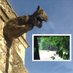 MysteryAnimalSuffolk (@mysteryanimals) Twitter profile photo MysteryAnimalSuffolk (@mysteryanimals) Twitter profile photo