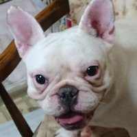 sasuke (@sasuke66512044) 's Twitter Profile