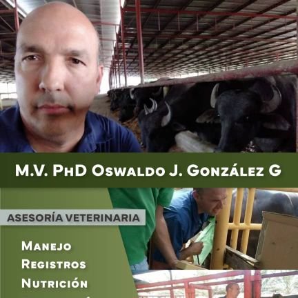 🇻🇪 Médico Veterinario, Bufalero, apasionado del deporte y comprometido en la lucha por Venezuela!! #JusticiaParaLeonardo