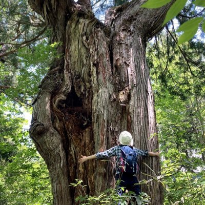 We offer tours where you can experience the Japanese-style forest bathing🌲🌳🌴 We hope you can feel energized by experiencing Japan's forests.