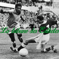 Garrincha (@mandjytmesektet) 's Twitter Profile Photo Garrincha (@mandjytmesektet) 's Twitter Profile Photo
