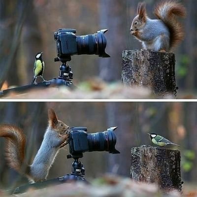 HelenaAlwin's profile picture.