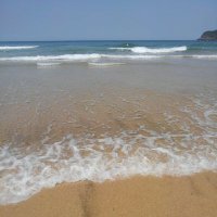 すず (@suzuapi2) 's Twitter Profile Photo