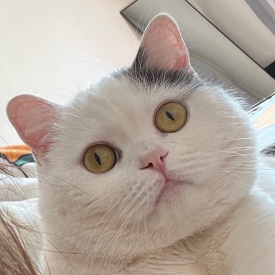 Quyigenichen's profile picture. 纯在这写日记   私信发骚的全部拉黑🙏🏻