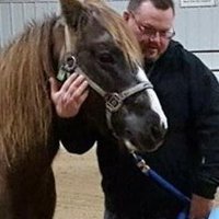 bmbrbob (@bmbrbob2) 's Twitter Profile