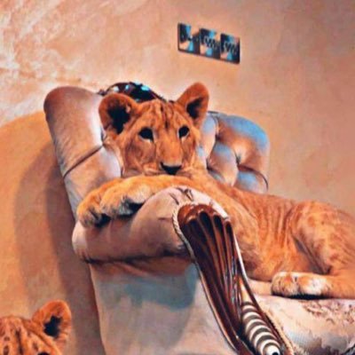 dody_ta98's profile picture. ﮼طالبة،مختبرات💉 ﮼واذا،ســــألوگ،عـــن،اگـــبر،انجازاتـــگ،فاخبــــــــرهـــــــم،انـــــگ،تعــــرفنــــا💅