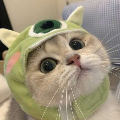 OskarlolkoxX's profile picture. hi