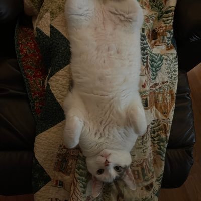 hoverfullofeels's profile picture. I can make boats fly