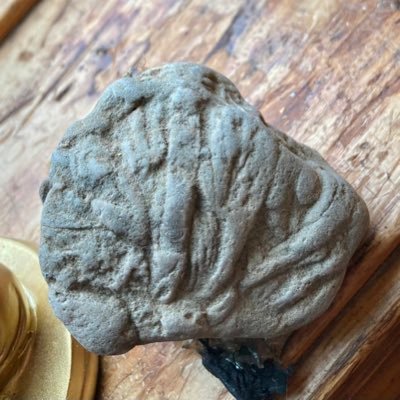 ZellCurran's profile picture. Formerly The Old Curiosity Shop; Still buying low & selling high *To The Good Life *Non Sum Qualis Eram