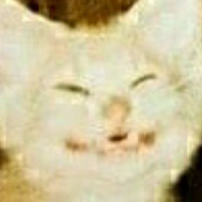 georgiitonchev's profile picture. 