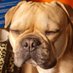 Barbara Kronenburg (@bkronenburg1970) Twitter profile photo Barbara Kronenburg (@bkronenburg1970) Twitter profile photo