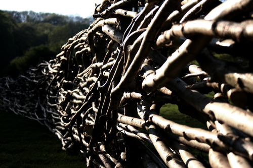 redeartharts's profile picture. RED EARTH create site-specific installations and performances in the landscape. We've produced work in Europe, Java, Japan and Mongolia.