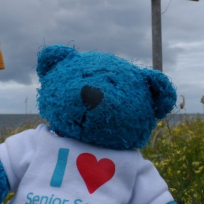 I am the mascot of Semple Ranger Unit. I started the Teacup Tour to celebrate the Rangers (Senior Section) Centenary. Many have taken me on my tour.