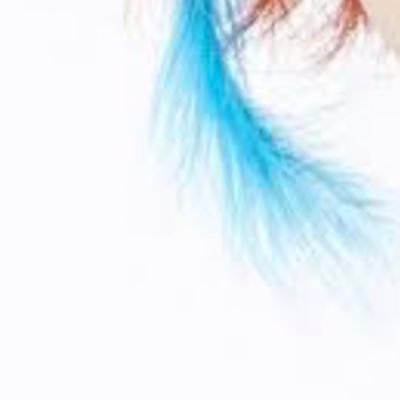 TO_yoshiyoshijp's profile picture. 東京→沖縄→茨城 98 🚹 東海オンエア 基本箱だけどてつ推し、 タメOK TCG2部