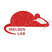 Nielsen Lab (@nielsen_ohio) 's Twitter Profile Photo