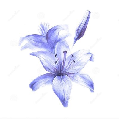 heather_lily15's profile picture. Lils 💐 Cardiff Met 🩺 (they/them)