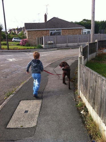 L4ur4smith's profile picture. 