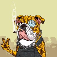 fabiopalvelli (@fabiopalvelli) Twitter profile photo