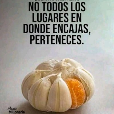 Aldo44157493's profile picture. 