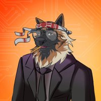 Wolf of Nowhere (@bastiankoch13) 's Twitter Profile