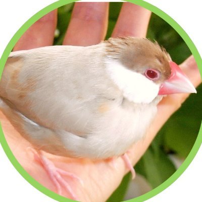 ノンプロ研|💕生物、ランニング、絵の習作を見る、音楽、読書|🌎米・比・仏駐在|👪夫娘|👨🎓法学部→公務員→海外育児→商社|📖GCS認定コーチ|JEARA認定アートマインドコーチ|♥NPOカタリバ|🖋TOEIC満点/日英翻訳|🌞Do what you love. Love what you do.|